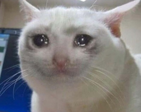 crying presentation meme