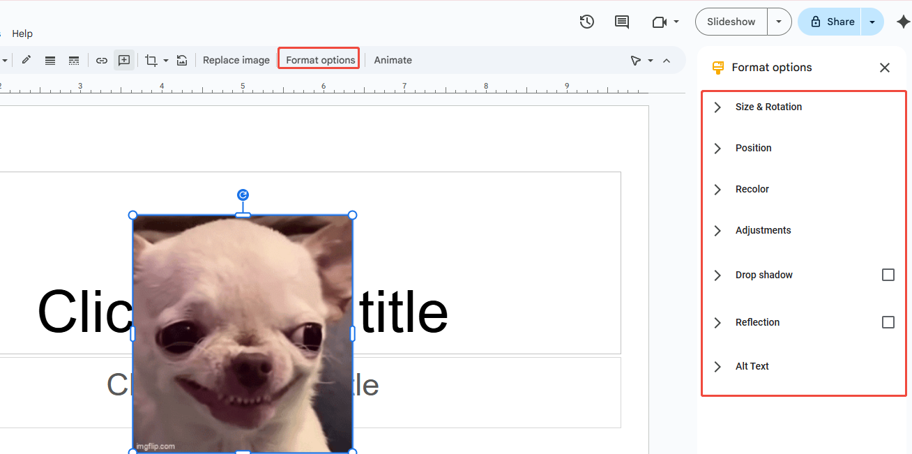 adjust gif from format options