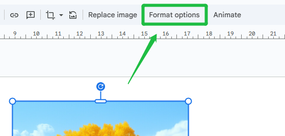 format options menu in google slides for image transparency