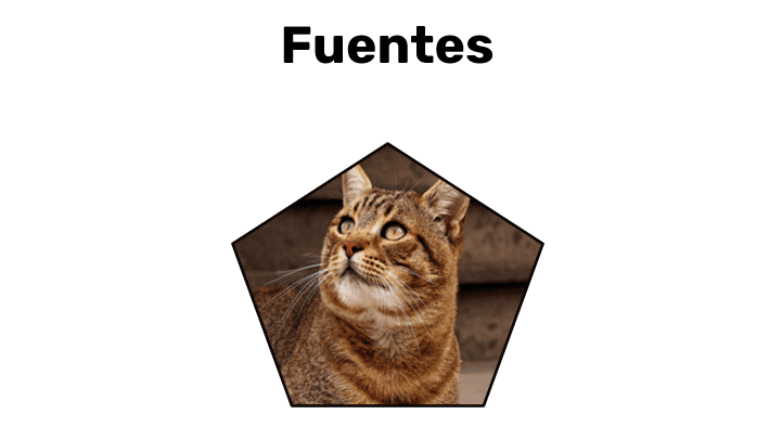 image in shape effect