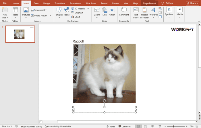 How to Cite Pictures in PowerPoint [APA Style Included]