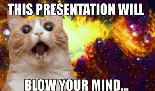 cat meme to start presentation