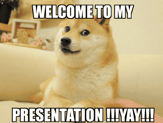 dog meme to start presentation