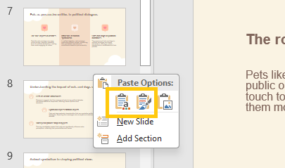 two paste option