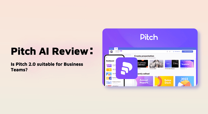 pitch review