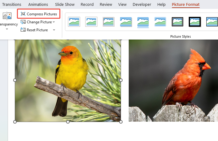 click compress pictures