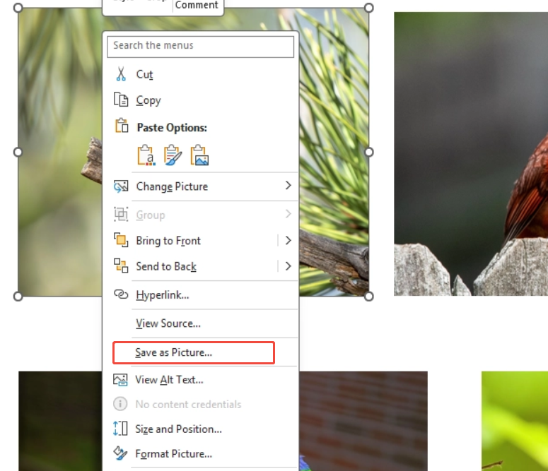 convert image to reduce ppt size