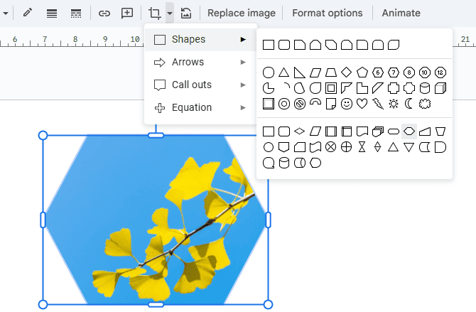put an image in a shape